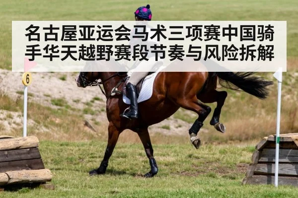 名古屋亚运会马术三项赛中国骑手华天越野赛段节奏与风险拆解